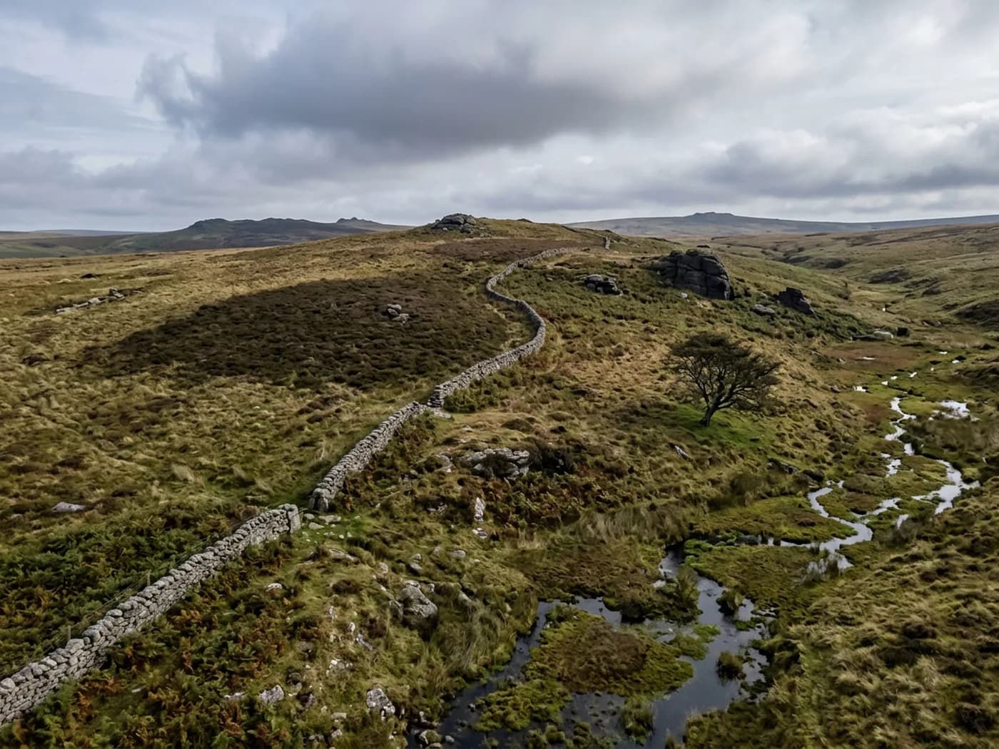 An aerial view of open Dartmoor edge country, rough grazing and bracken with granite outcrops and a drystone wall running over a rise